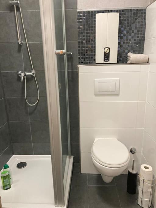 Toll Apartment Am Rhein Netflix Internet 1000 Mbits, Free Parking Дуйсбург Экстерьер фото